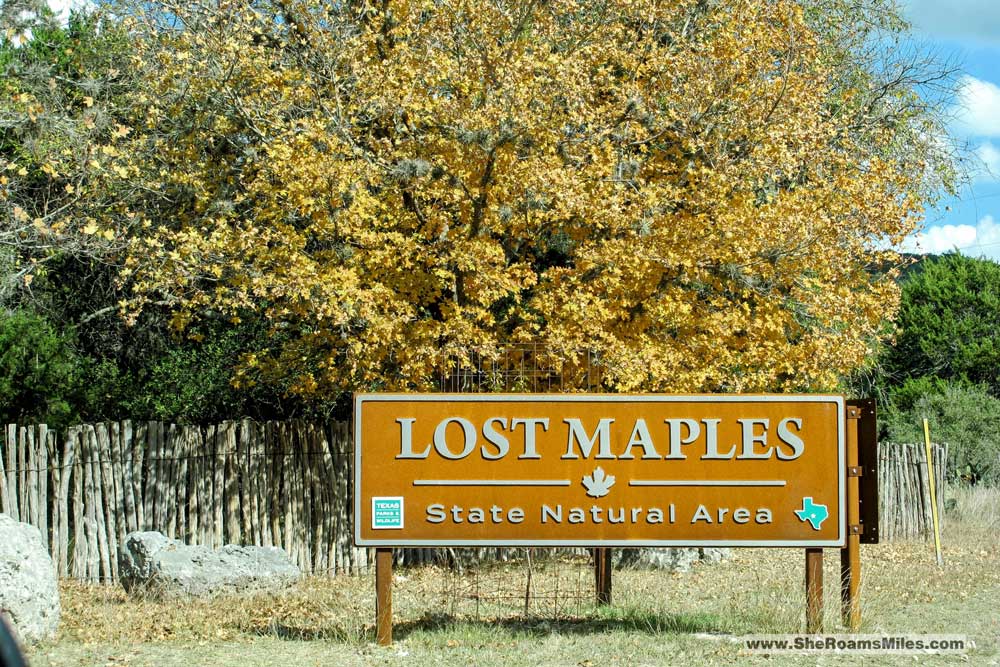 Lost Maples Texas