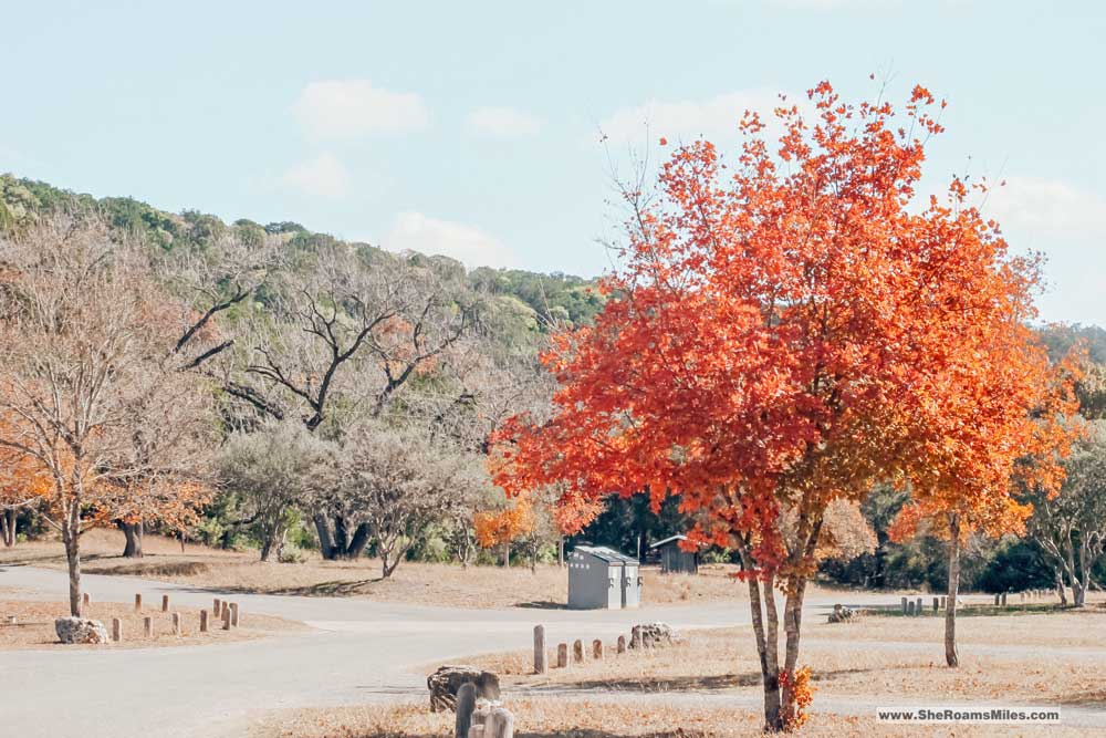 Lost Maples Fall Colors