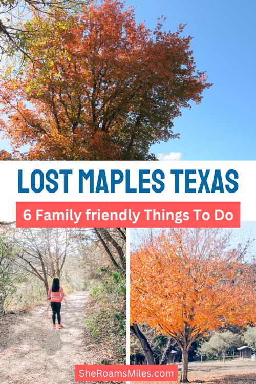 Lost Maples Texas