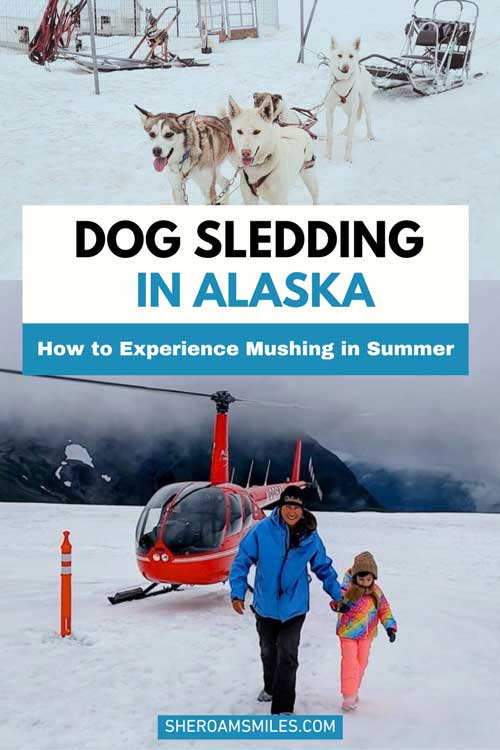 Dog Sledding In Alaska