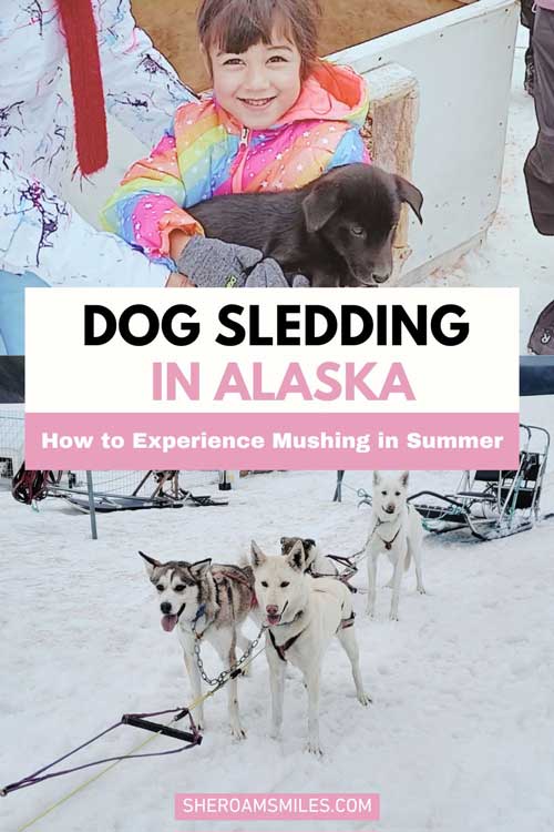 Dog Sledding In Alaska