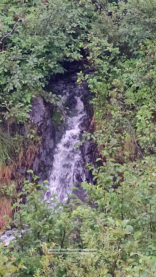 Glacier Discovery Train - Falls