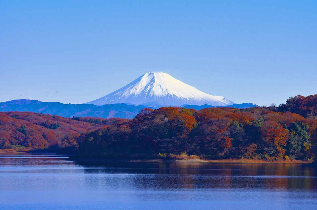 Mount Fuji With Trees And Water