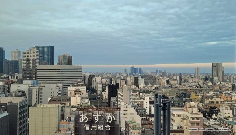 Tokyo Hotel Views