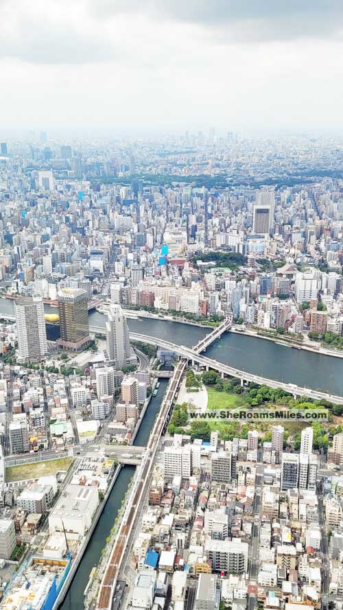 Tokyo, A City With A River And A Bridge